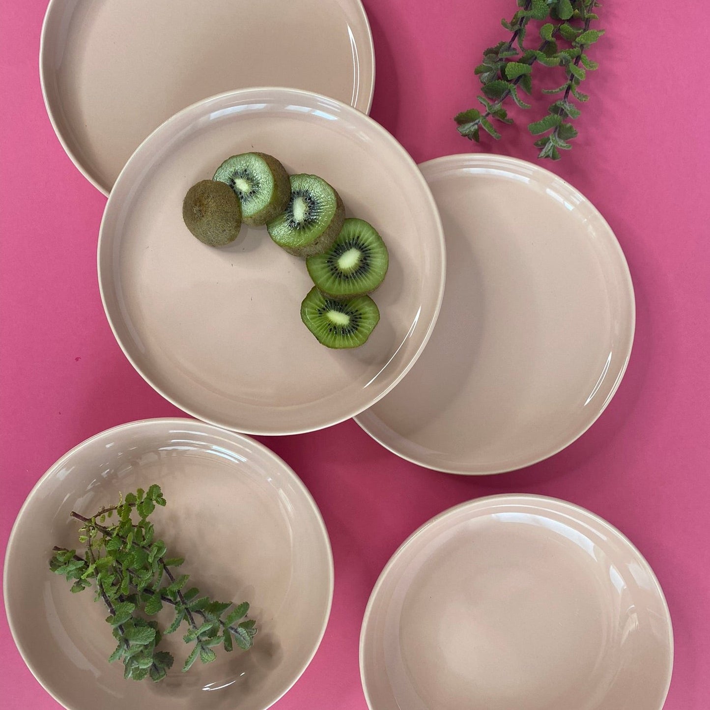 Elements Pink Salmon Dinner Plate