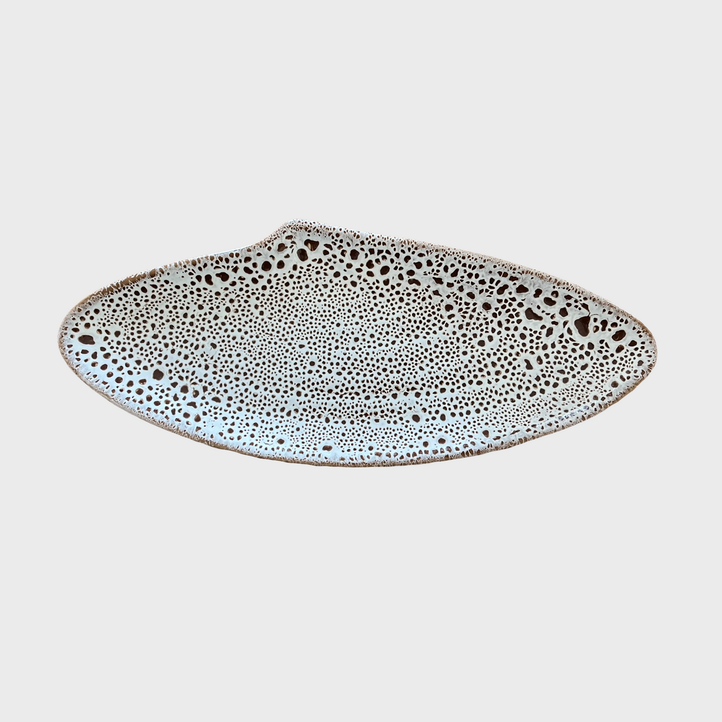 Decorative Tray Bean Clam