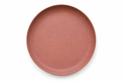 Silhouette Rusty Rose Dinnerware Set of 12