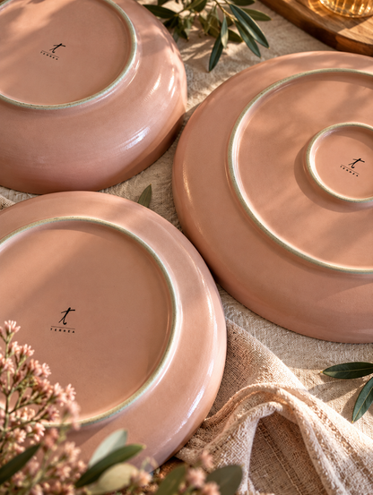 Elements Pink Salmon Dinnerware Set 12 Pieces