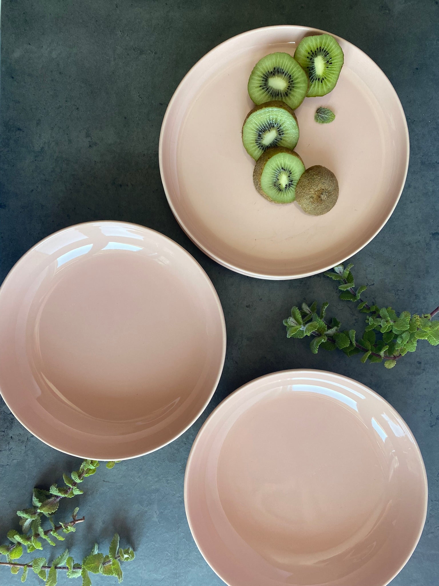 Elements Pink Salmon Soup Plate Set Of 4 - Terrea