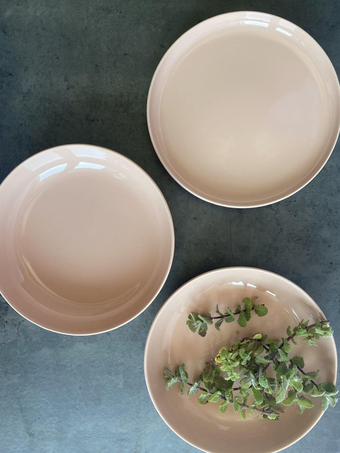  Elements Pink Salmon Dinner Plate Set