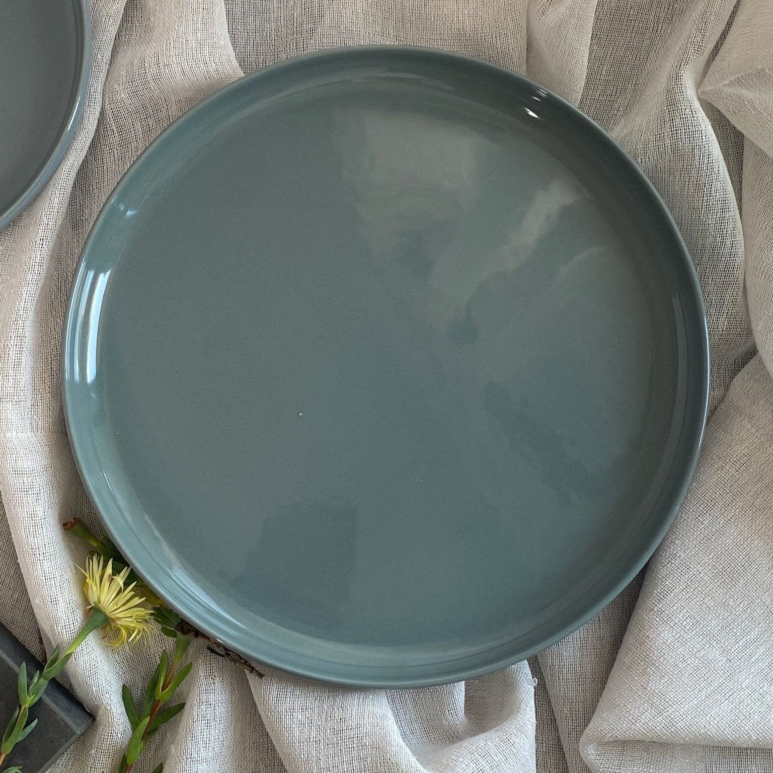 Elements Green Olive Dinner Plate Set Of 4